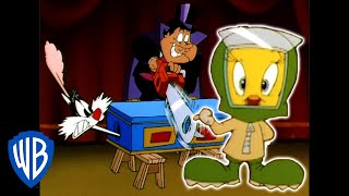 Looney Tunes | Sylvester the Magician Assistant | WB Kids