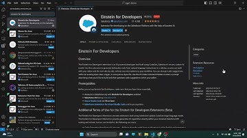 How to setup and use Einstein for Developers