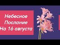 Небесное послание на 16 августа. Новое направление.