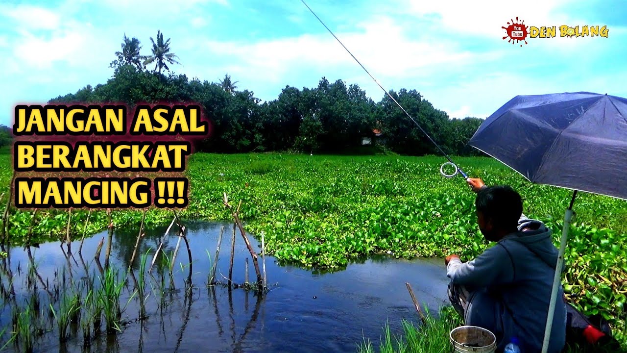 Waktu yang tepat buat mancing ikan nila