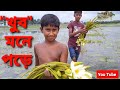 খুব মনে পড়ে l  শৈশব স্মৃতি l শাপলা ফুল ।  Childhood memories । Village to Village