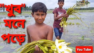 খুব মনে পড়ে l  শৈশব স্মৃতি l শাপলা ফুল ।  Childhood memories । Village to Village