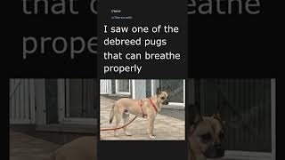 Daily Top Reddit Posts #12. 07/30/22. Top post in r/aww.