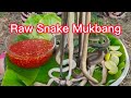 Ms jin su eating raw snakes full mukbang