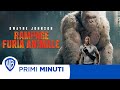 Primi Minuti | Rampage: Furia Animale