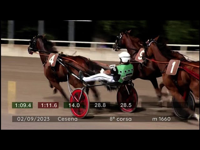 2023 09 02 | Corsa 8 | Metri 1660 | Premio Campionato Europeo Gruppo Orogel - Seconda Prova