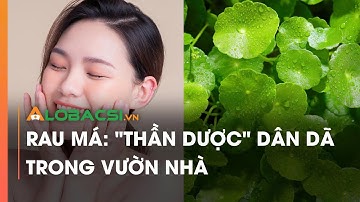 Rau má "Thần dược" dân dã trong vườn nhà | Video AloBacsi