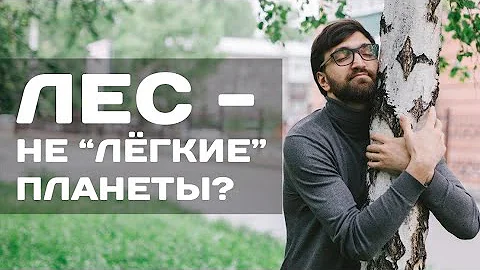 Лес - не лёгкие планеты? / Просто о сложном