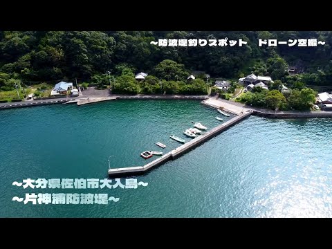 【釣り】片神港 大分県佐伯市大入島_アジング_エギング_フカセ_オルレ_ドローン空撮_fishing spot