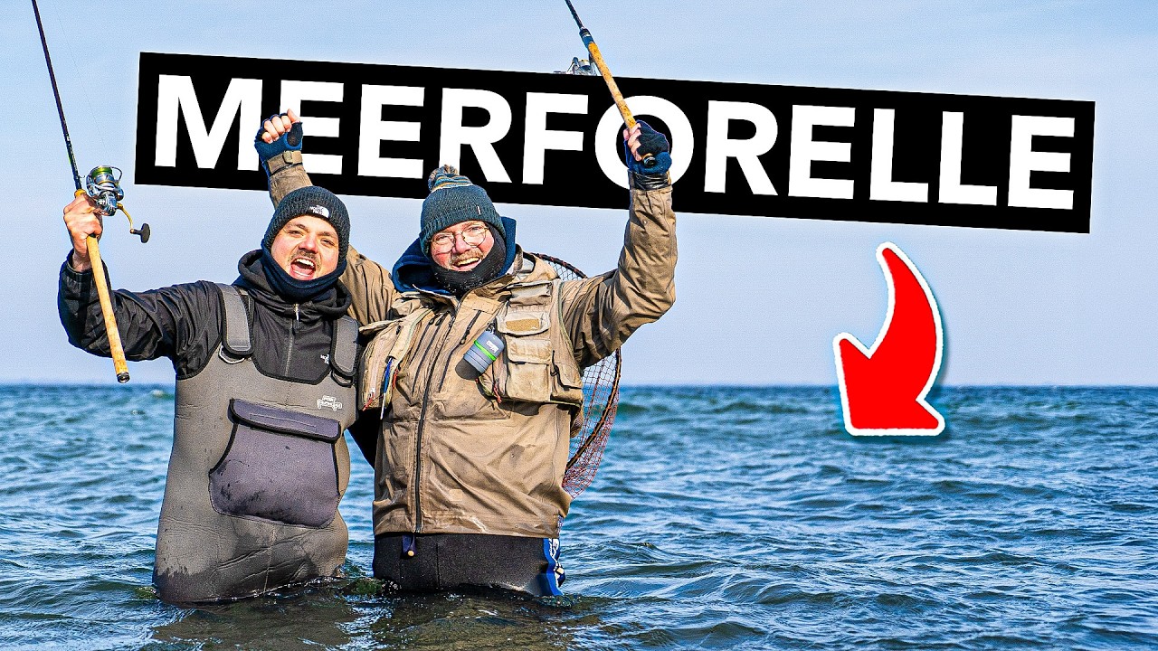 So fängst du deine erste Meerforelle! 🎣 (Ausrüstung, Köder, Technik und Spots)
