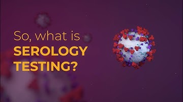 Serology 101: Testing for IgG and IgM antibodies
