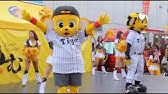 誰がなんと言おうとキー太は可愛い Youtube