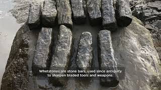 Roman industrial hub discovered in North East England