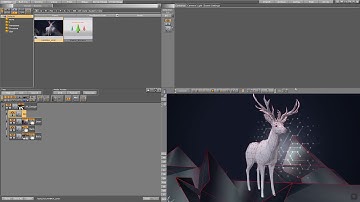 CAMERA LINK & ANIMATION