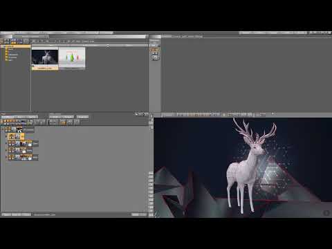 CAMERA LINK & ANIMATION
