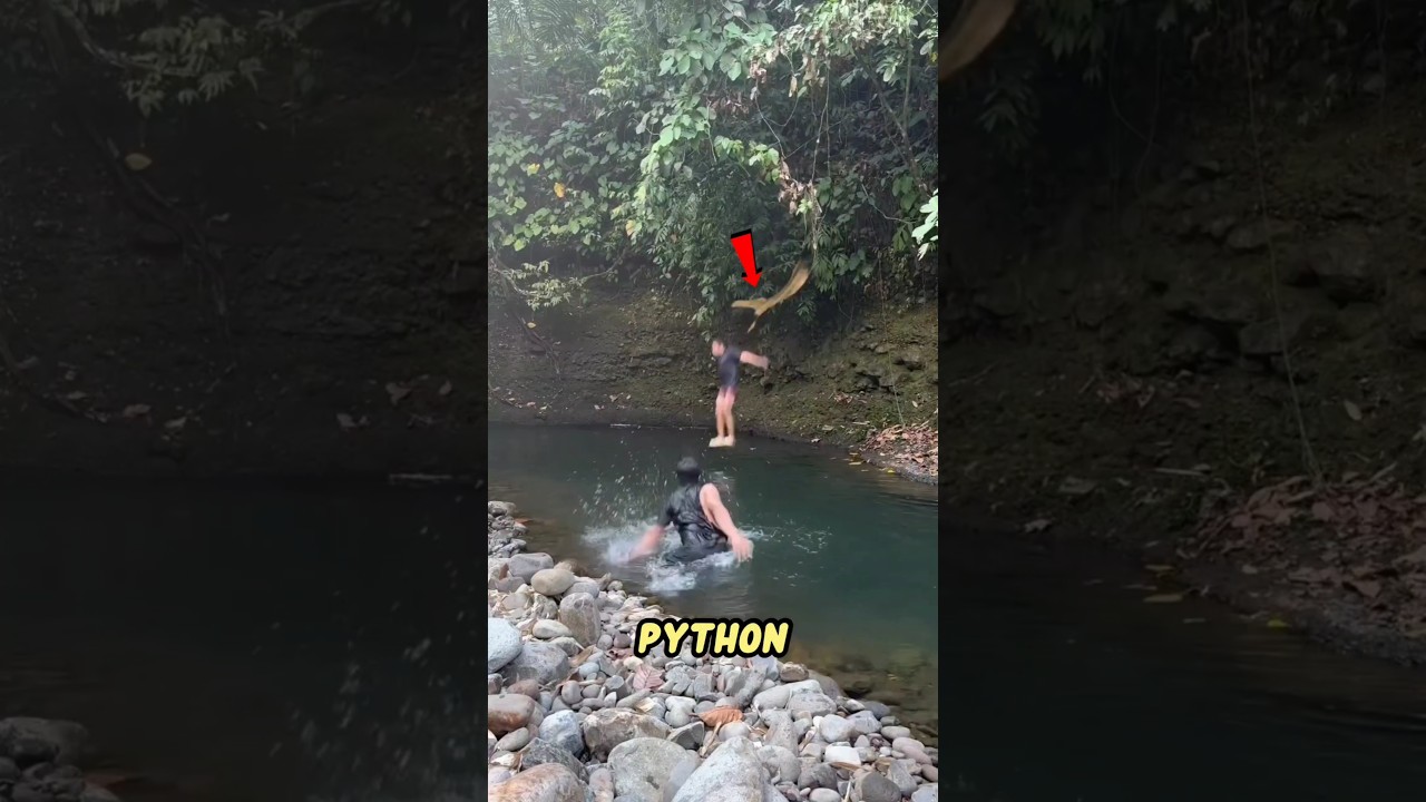 Animals Caught on Camera Doing the Unbelievable!