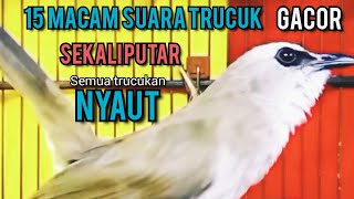 15 MACAM SUARA TRUCUK GACOR NGALAS  SEKALI PUTAR SEMUA TRUCUKAN NYAUT NGROPEL SEKETIKA ‼️