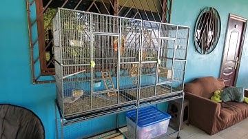 Assembly of McCage 63" Double Flight Cage with Divider - Model 10115 for Small to Medium Birds