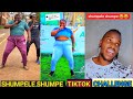 SHUMPELE SHUMPE TIKTOK DANCE CHALLENGE  BY TIPSY GEE FT SPOILER 4t3