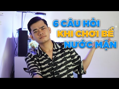 Video: Làm thế nào để bắt đầu một bể cá nước ngọt