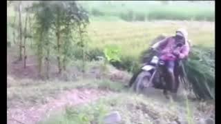 Hiduplah engkau denganku duar
