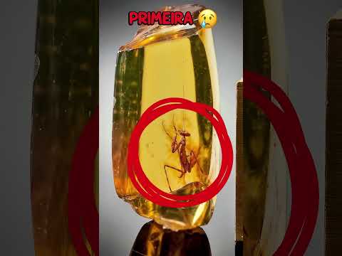 VOCÊ JÁ VIU ALGUMA FOTO?