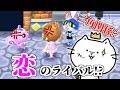 恋のライバルと友達になった...? とびだせ どうぶつの森 amiibo+ 実況プレイ