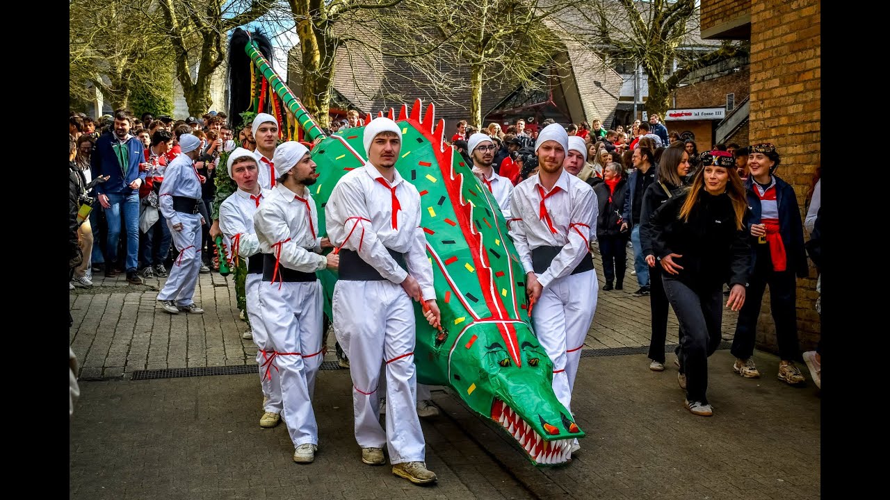 LOUVAIN-LA-NEUVE (BE) | ÉVOCATION DU COMBAT DIT LUMEÇON (2025)