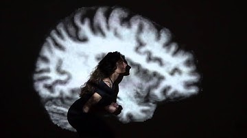 The Art of MR. Staging the Connectome.