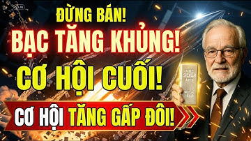 ĐỪNG BÁN BẠC LÚC NÀY: ĐÂY LÀ GIAI ĐOẠN CUỐI TRƯỚC KHI BẬT TĂNG CỰC ĐẠI