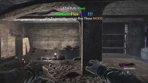 7s/TTG WaW Motion Flex Mod Menu