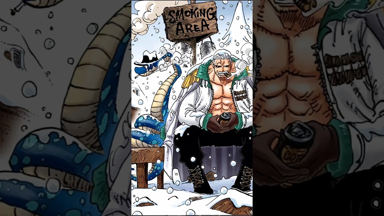 🚡Random One Piece Facts That You Probably Didn't Know About! 