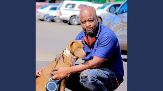 Muphasi Wa Ngwenya