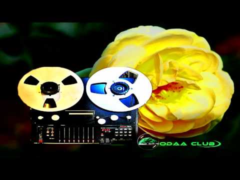 Oromo Music Best Ali Shabbo S Song 2 Tiyyumaa Audio Only