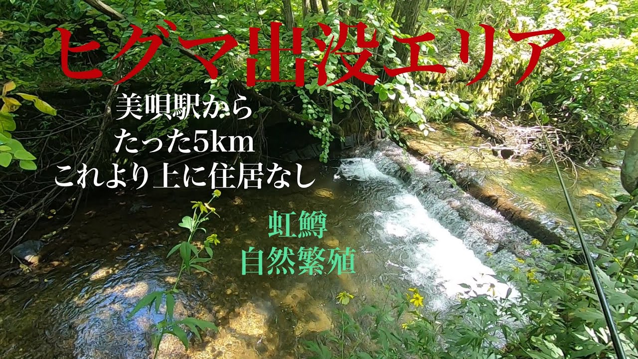 美唄川 ニジマス 渓流釣り 北海道の釣り Youtube