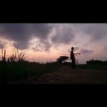 The best Footage Sunrise cocok buat story wa(timelapse)