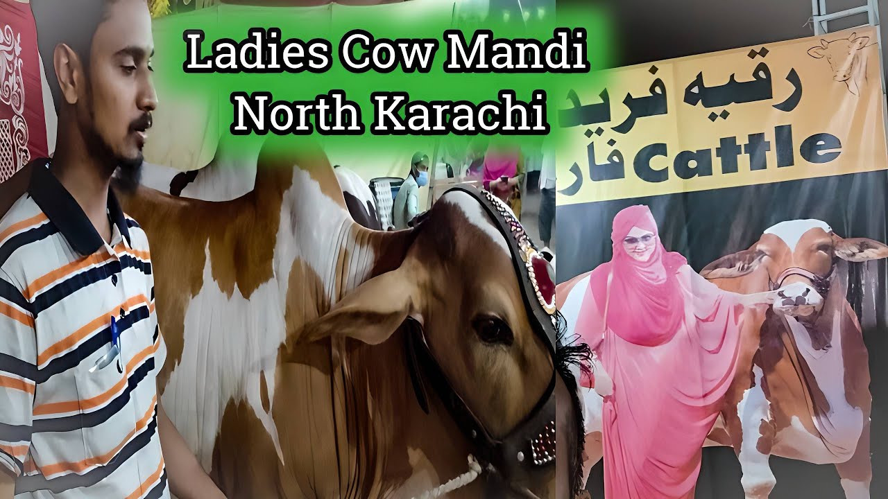 Pakistan first Female Maweshi Mandi Karachi Female Maweshi Mandi Ladies