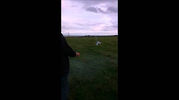 Estes Loadstar II rocket launch