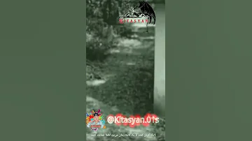 حمله اجنه به پسر رهگذر Ein Kobold Greift Einen Vorbeigehenden Jungen An 
