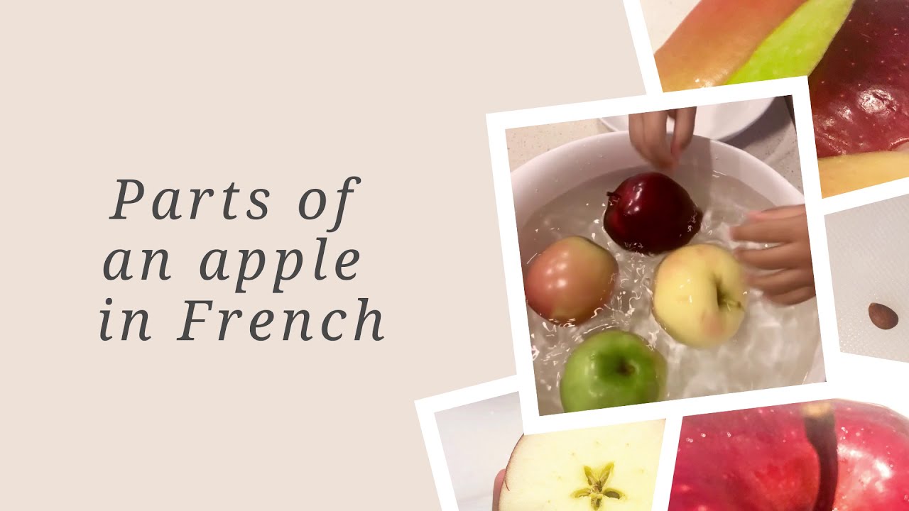 Parts of an apple in French vocabulary and activity YouTube