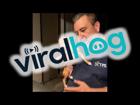 Dog at Dinner Party Copies Guy at Play || ViralHog