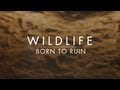 Wildlife - Born To Ruin