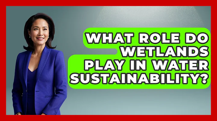 What Role Do Wetlands Play in Water Sustainability? | Water Science For Everyone News