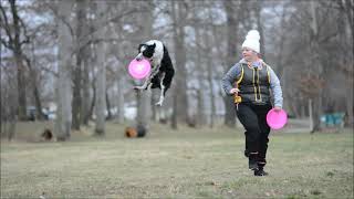 Dana a Beebe dogfrisbee by Tereza Brožková 568 views 2 years ago 1 minute, 53 seconds