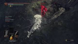 Before I got the squat emote