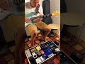 Segala Perkara - Putri Siagian | Guitar Playthrough