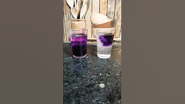 science easy experiment ||science easy experiment simple experiment do at home||#short#E_bull_jet#yt