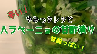 やみつきになる ハラペーニョの甘酢漬けをつくります。