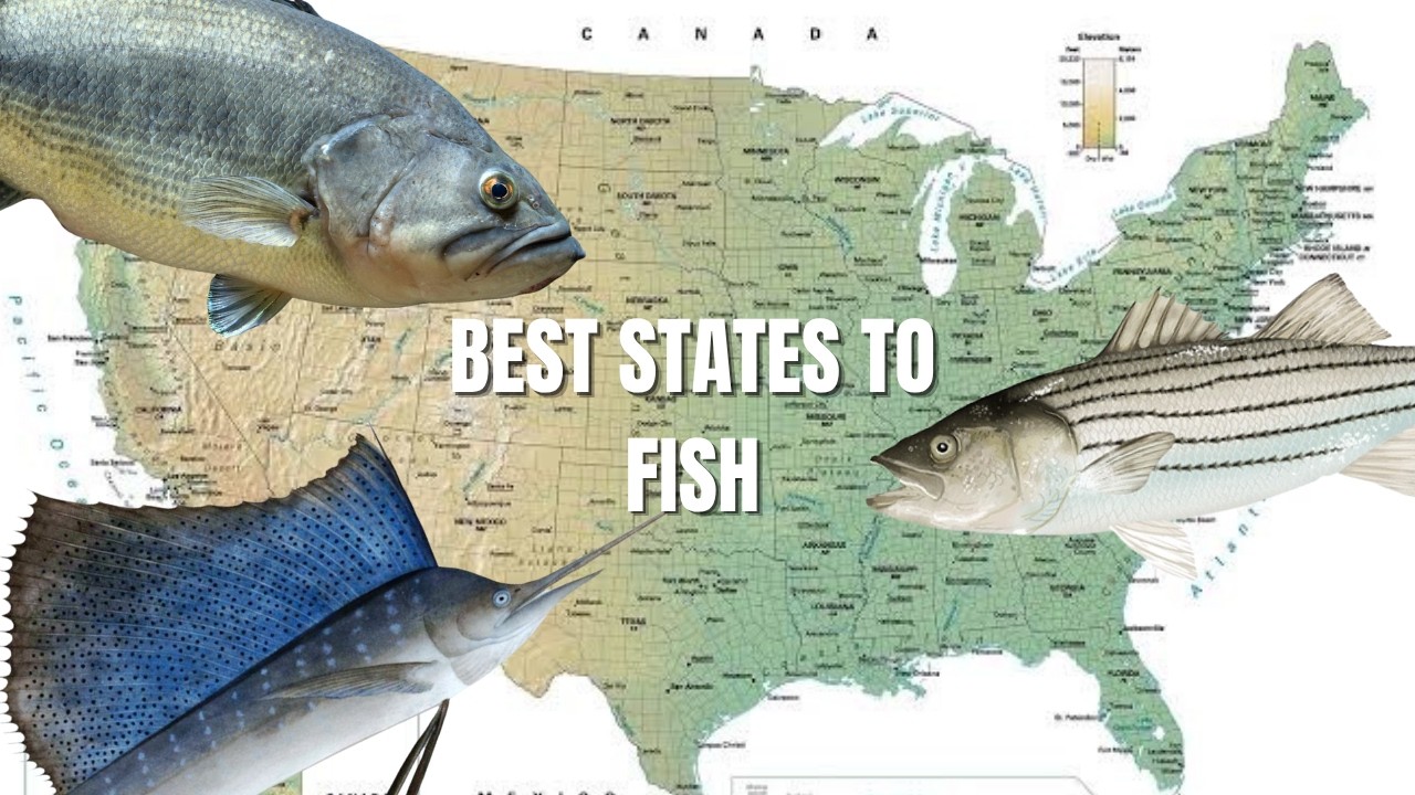The TOP 3 BEST Fishing States RANKED - YouTube