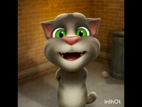 Chitti Chilakamma | Nursery Rhymes ||Talking Tom (2019) || Telugu Rhymes | Kids Songs | Parrot